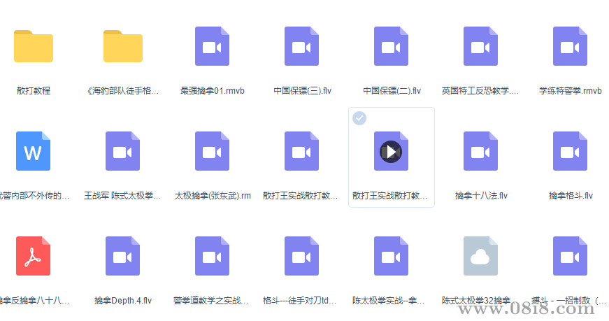 武术教程合集