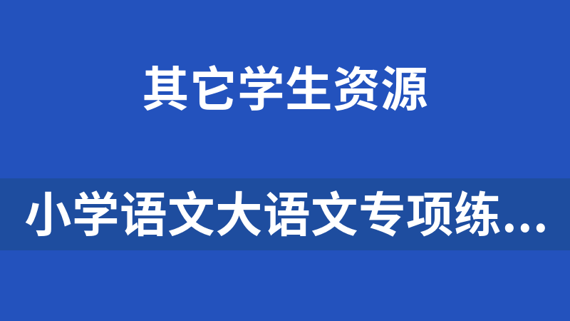 小学语文大语文专项练习册