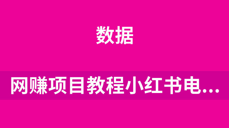 网赚副业项目教程小红书电商高级运营实操课程