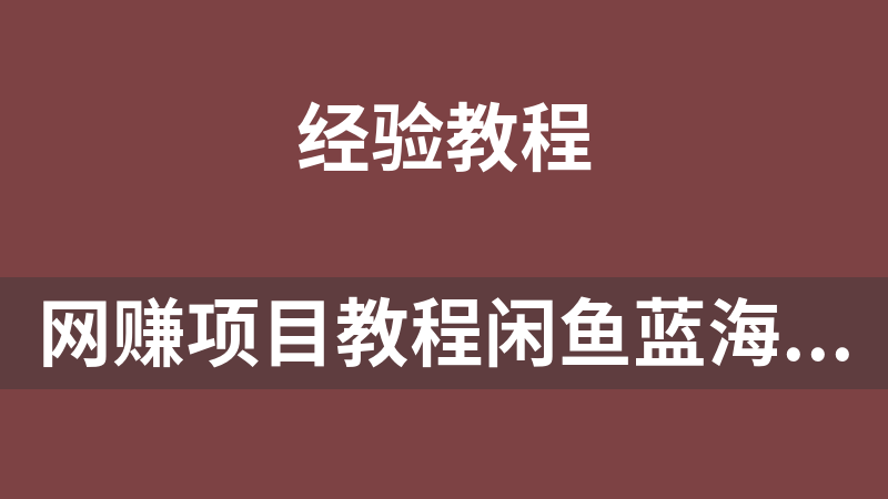 网赚项目教程闲鱼蓝海赛道，新人轻松上手，日入1000+