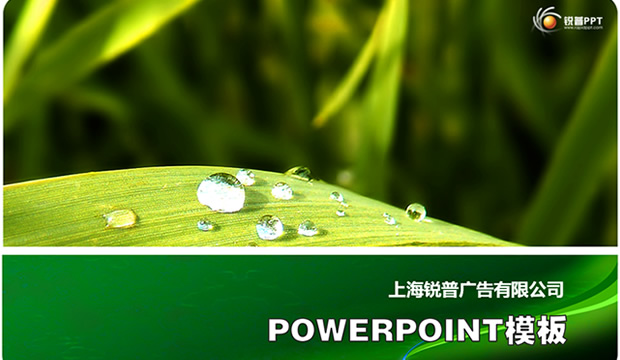 锐普出品春天ppt模板