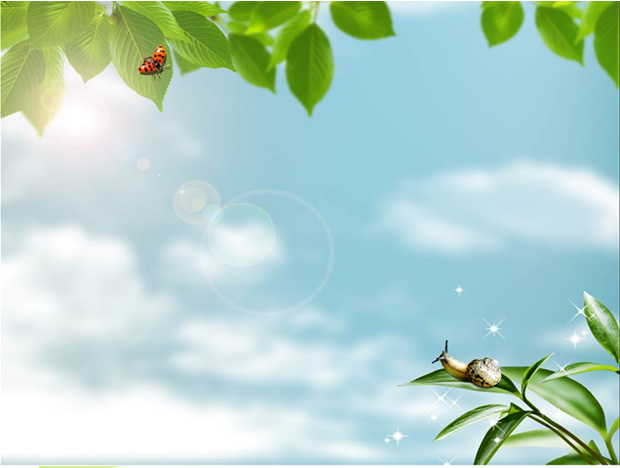 蜗牛 瓢虫与绿叶——春天ppt模板